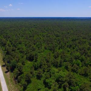 Photo of UNDER CONTRACT!  180 Acres of Hunting Land For Sale in Hyde County NC!