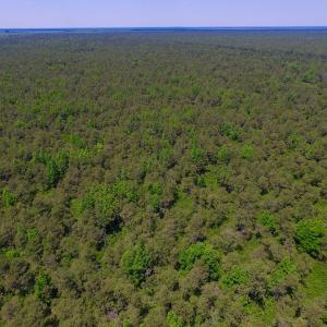 Photo of UNDER CONTRACT!  180 Acres of Hunting Land For Sale in Hyde County NC!