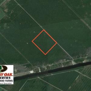 Photo of UNDER CONTRACT!  180 Acres of Hunting Land For Sale in Hyde County NC!
