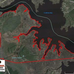Photo of UNDER CONTRACT!  547 ac Waterfront Hunting Land For Sale in Beaufort County NC!