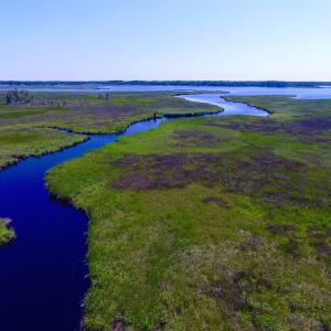 Photo of UNDER CONTRACT!  547 ac Waterfront Hunting Land For Sale in Beaufort County NC!