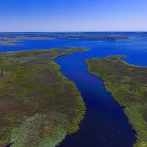 Photo of UNDER CONTRACT!  547 ac Waterfront Hunting Land For Sale in Beaufort County NC!