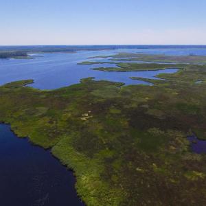 Photo of UNDER CONTRACT!  547 ac Waterfront Hunting Land For Sale in Beaufort County NC!
