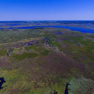 Photo of UNDER CONTRACT!  547 ac Waterfront Hunting Land For Sale in Beaufort County NC!