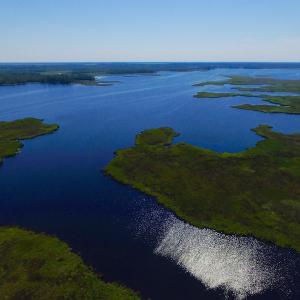 Photo of UNDER CONTRACT!  547 ac Waterfront Hunting Land For Sale in Beaufort County NC!