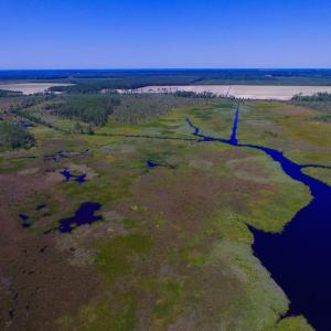 Photo of UNDER CONTRACT!  547 ac Waterfront Hunting Land For Sale in Beaufort County NC!