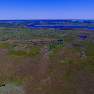 Photo of UNDER CONTRACT!  547 ac Waterfront Hunting Land For Sale in Beaufort County NC!