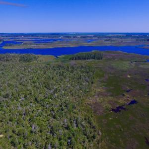 Photo of UNDER CONTRACT!  547 ac Waterfront Hunting Land For Sale in Beaufort County NC!