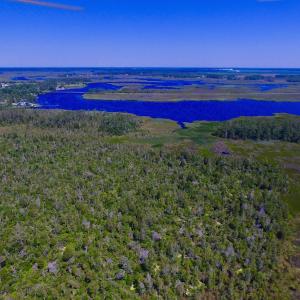 Photo of UNDER CONTRACT!  547 ac Waterfront Hunting Land For Sale in Beaufort County NC!
