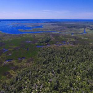 Photo of UNDER CONTRACT!  547 ac Waterfront Hunting Land For Sale in Beaufort County NC!