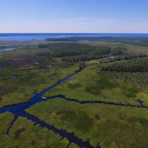 Photo of UNDER CONTRACT!  547 ac Waterfront Hunting Land For Sale in Beaufort County NC!