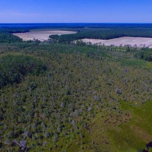 Photo of UNDER CONTRACT!  547 ac Waterfront Hunting Land For Sale in Beaufort County NC!