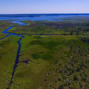 Photo of UNDER CONTRACT!  547 ac Waterfront Hunting Land For Sale in Beaufort County NC!
