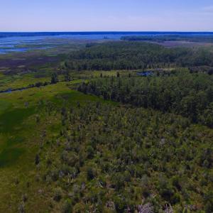 Photo of UNDER CONTRACT!  547 ac Waterfront Hunting Land For Sale in Beaufort County NC!