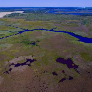 Photo of UNDER CONTRACT!  547 ac Waterfront Hunting Land For Sale in Beaufort County NC!