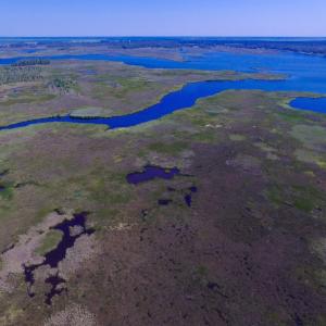 Photo of UNDER CONTRACT!  547 ac Waterfront Hunting Land For Sale in Beaufort County NC!