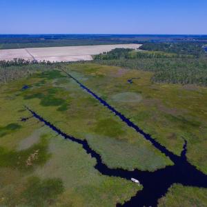 Photo of UNDER CONTRACT!  547 ac Waterfront Hunting Land For Sale in Beaufort County NC!