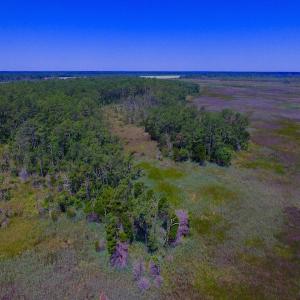 Photo of UNDER CONTRACT!  547 ac Waterfront Hunting Land For Sale in Beaufort County NC!