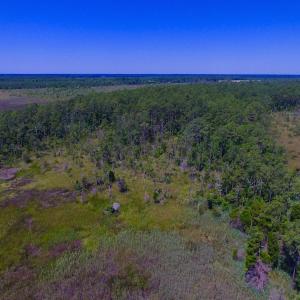 Photo of UNDER CONTRACT!  547 ac Waterfront Hunting Land For Sale in Beaufort County NC!