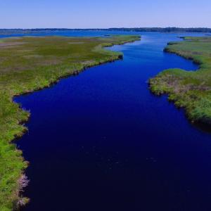 Photo of UNDER CONTRACT!  547 ac Waterfront Hunting Land For Sale in Beaufort County NC!
