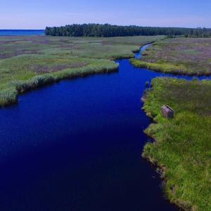 Photo of UNDER CONTRACT!  547 ac Waterfront Hunting Land For Sale in Beaufort County NC!