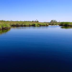Photo of UNDER CONTRACT!  547 ac Waterfront Hunting Land For Sale in Beaufort County NC!