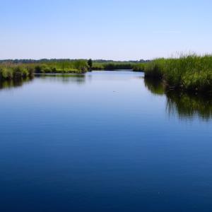 Photo of UNDER CONTRACT!  547 ac Waterfront Hunting Land For Sale in Beaufort County NC!