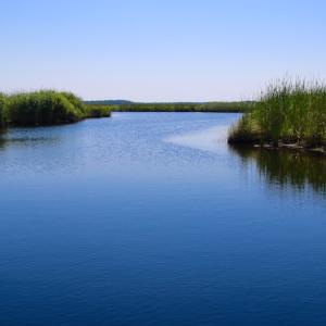 Photo of UNDER CONTRACT!  547 ac Waterfront Hunting Land For Sale in Beaufort County NC!