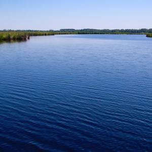Photo of UNDER CONTRACT!  547 ac Waterfront Hunting Land For Sale in Beaufort County NC!