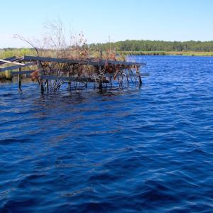 Photo of UNDER CONTRACT!  547 ac Waterfront Hunting Land For Sale in Beaufort County NC!
