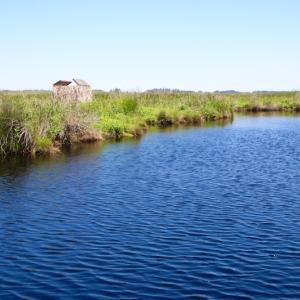 Photo of UNDER CONTRACT!  547 ac Waterfront Hunting Land For Sale in Beaufort County NC!