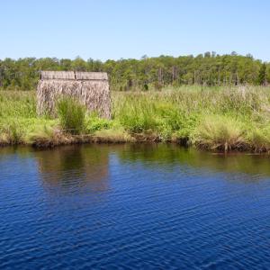 Photo of UNDER CONTRACT!  547 ac Waterfront Hunting Land For Sale in Beaufort County NC!