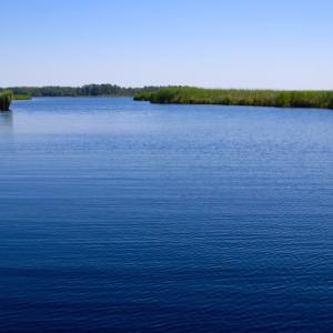 Photo of UNDER CONTRACT!  547 ac Waterfront Hunting Land For Sale in Beaufort County NC!