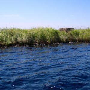 Photo of UNDER CONTRACT!  547 ac Waterfront Hunting Land For Sale in Beaufort County NC!