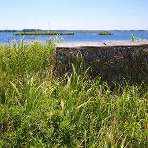 Photo of UNDER CONTRACT!  547 ac Waterfront Hunting Land For Sale in Beaufort County NC!