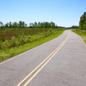 Photo of UNDER CONTRACT!  547 ac Waterfront Hunting Land For Sale in Beaufort County NC!