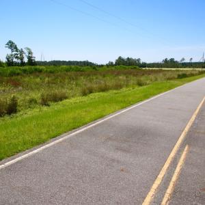 Photo of UNDER CONTRACT!  547 ac Waterfront Hunting Land For Sale in Beaufort County NC!