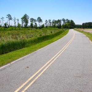 Photo of UNDER CONTRACT!  547 ac Waterfront Hunting Land For Sale in Beaufort County NC!