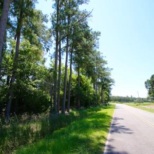 Photo of UNDER CONTRACT!  547 ac Waterfront Hunting Land For Sale in Beaufort County NC!