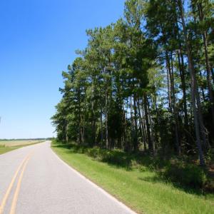 Photo of UNDER CONTRACT!  547 ac Waterfront Hunting Land For Sale in Beaufort County NC!
