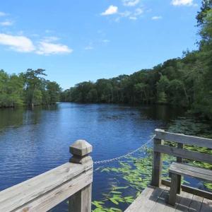 Photo of UNDER CONTRACT!  65 Acres of Hunting and Residential Land For Sale in Horry County SC!
