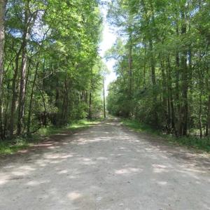 Photo of UNDER CONTRACT!  65 Acres of Hunting and Residential Land For Sale in Horry County SC!