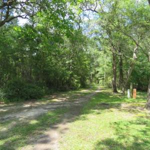 Photo of UNDER CONTRACT!  65 Acres of Hunting and Residential Land For Sale in Horry County SC!
