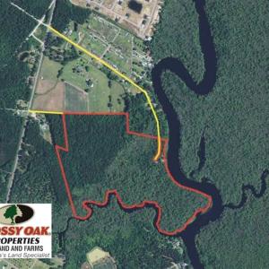 Photo of UNDER CONTRACT!  65 Acres of Hunting and Residential Land For Sale in Horry County SC!