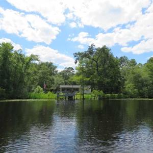 Photo of UNDER CONTRACT!  65 Acres of Hunting and Residential Land For Sale in Horry County SC!