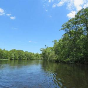 Photo of UNDER CONTRACT!  65 Acres of Hunting and Residential Land For Sale in Horry County SC!