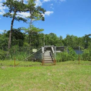 Photo of UNDER CONTRACT!  65 Acres of Hunting and Residential Land For Sale in Horry County SC!