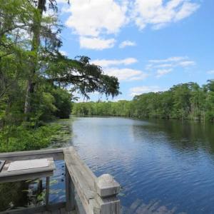 Photo of UNDER CONTRACT!  65 Acres of Hunting and Residential Land For Sale in Horry County SC!