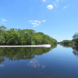 Photo of UNDER CONTRACT!  65 Acres of Hunting and Residential Land For Sale in Horry County SC!