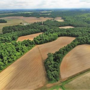 Photo of UNDER CONTRACT!  53.5 Acres of Farm and Timber Land with Building For Sale In Wayne County NC!